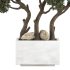 Topiary Pine Tree Set - Thumbnail 5