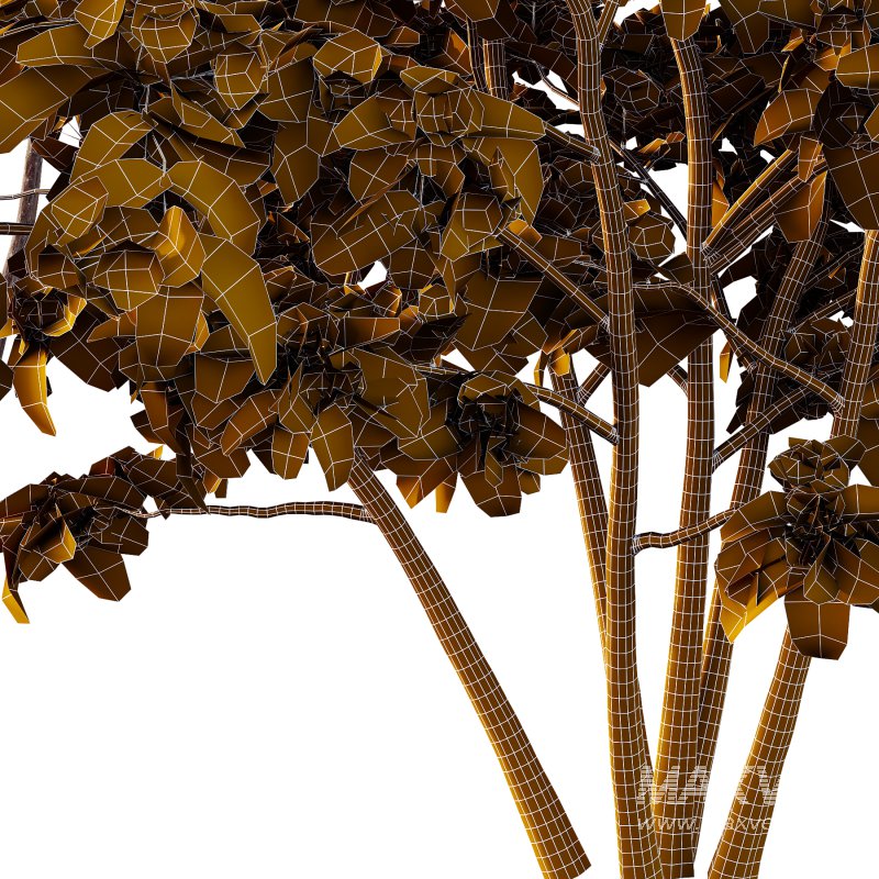 Philadelphia Bush 03 - Image 4