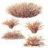 ntal grasses are widely used in landscaping for ground cover, edging, and creating natural textures in gardens. The set offers realistic density and organic variation, making it ideal for exterior design, botanical compositions, and architectural visualizations. With clean topology and 4K textures, these models ensure both high performance and lifelike detail. - Thumbnail 10
