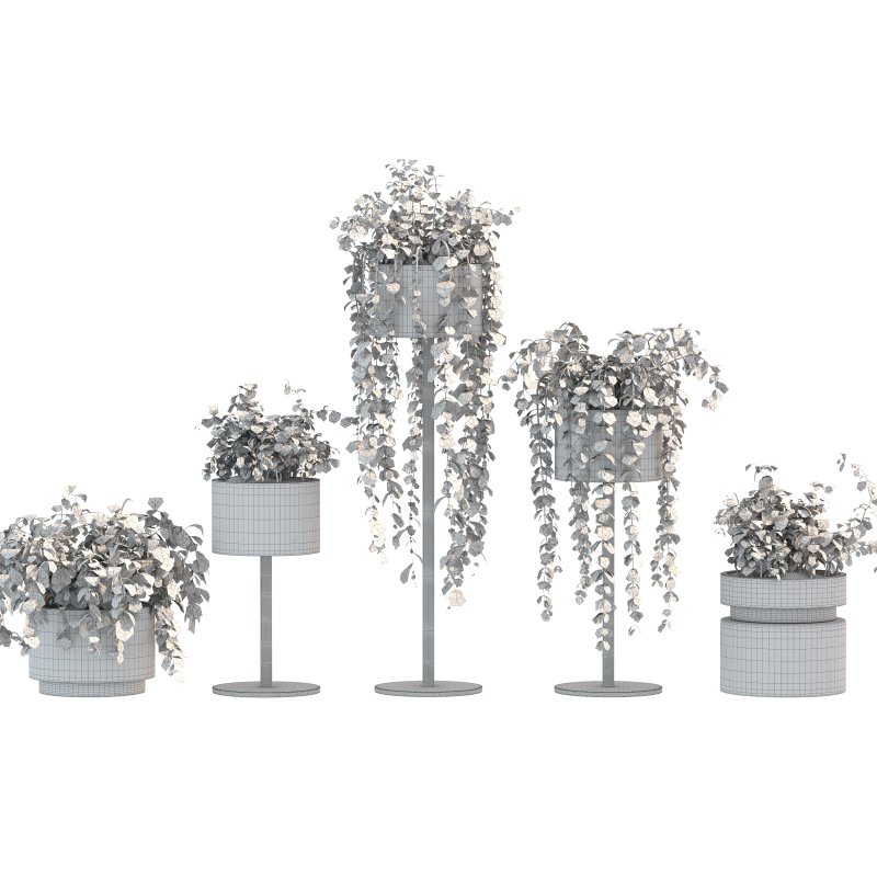 White Metal Plant Set - Image 2