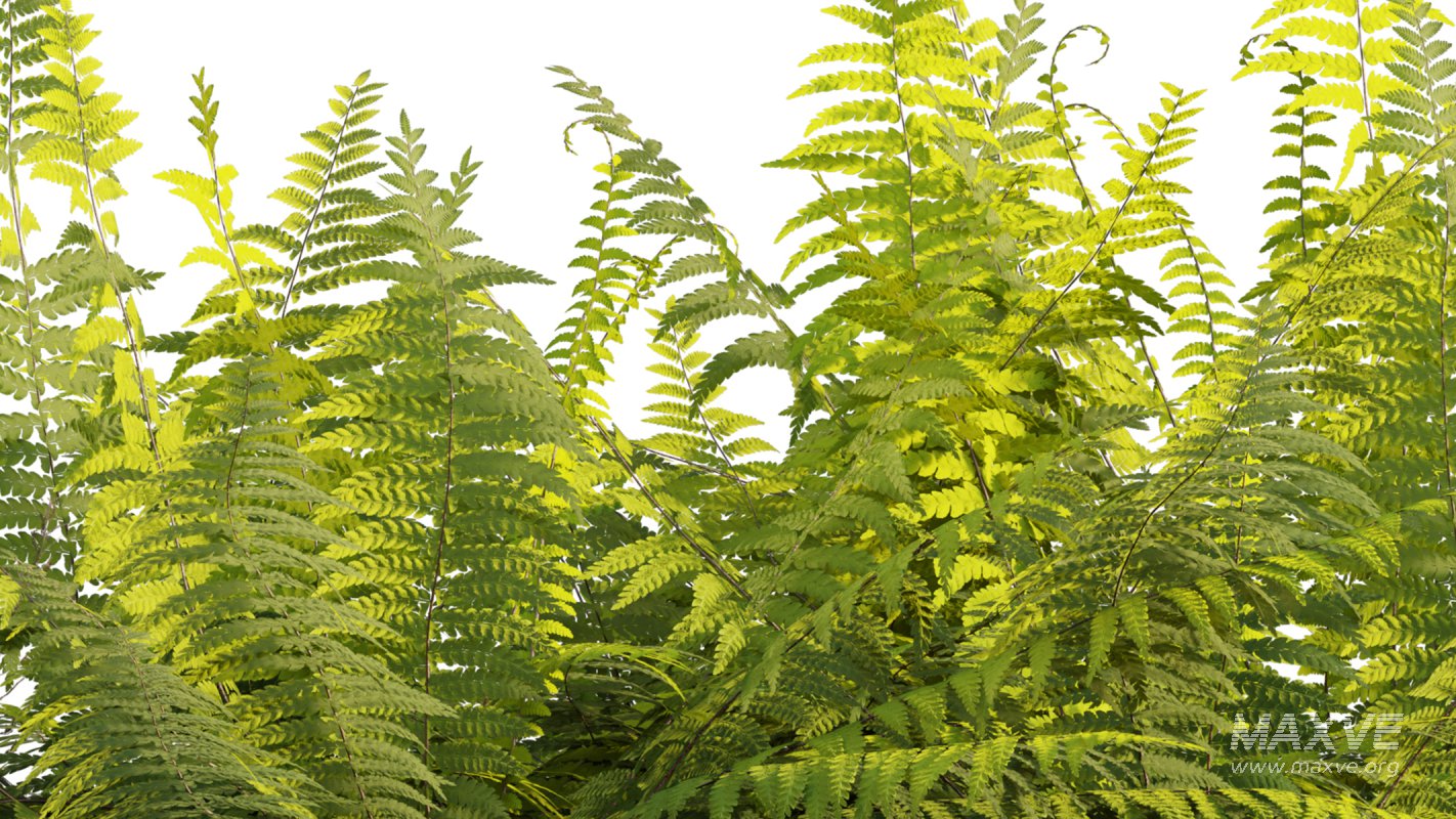 Collection 14 – English Garden - Image 25