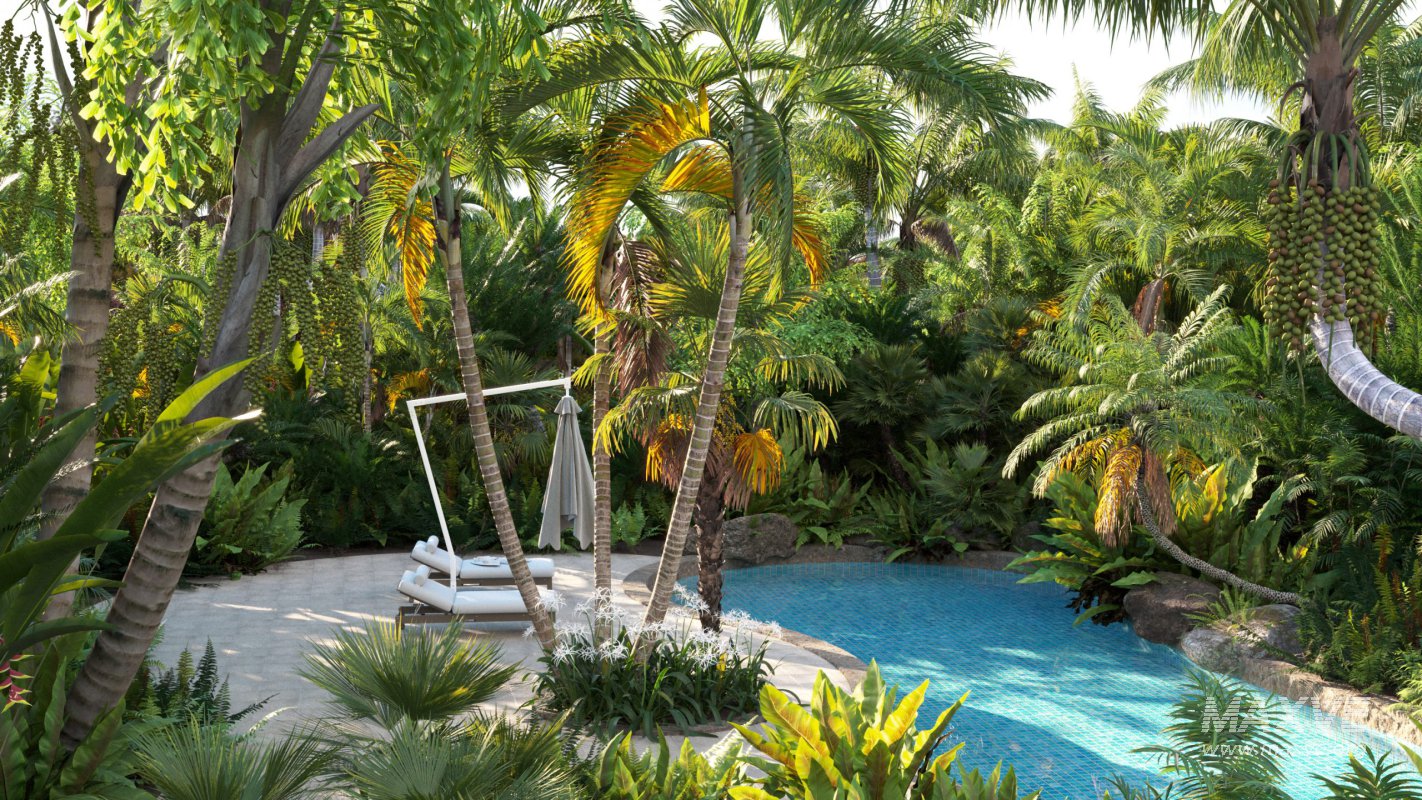 Collection 10 – Palm garden - Image 1