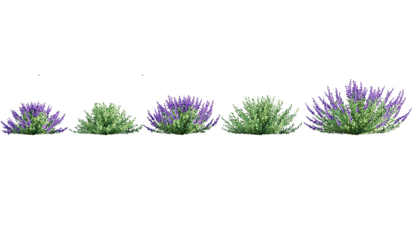 Collection 02 – Mediterrannean Garden - Image 8