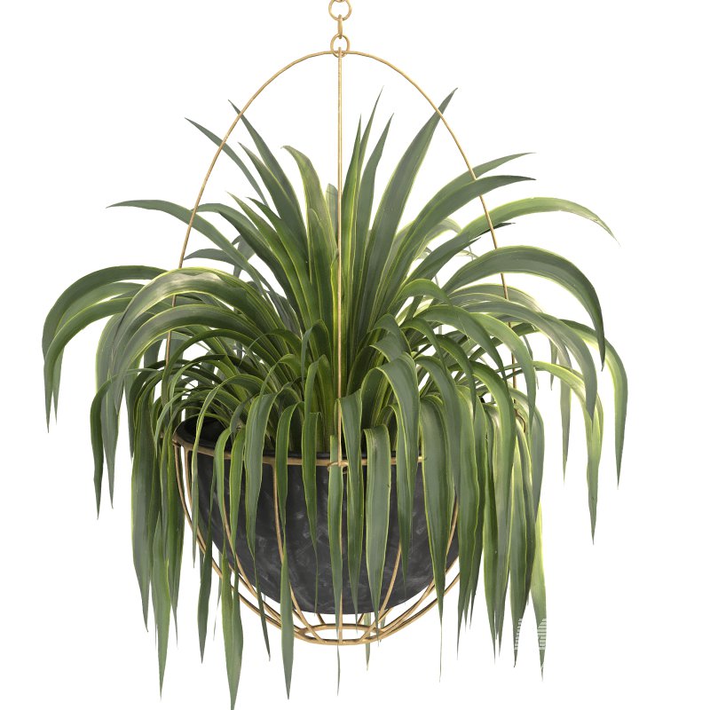 Metal Hanging Plants 05 - Image 6