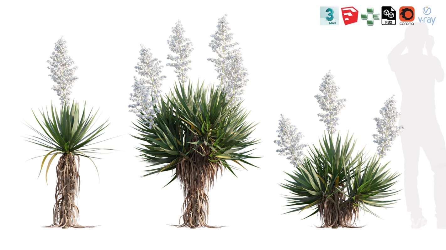 Collection 12 – Desert Garden - Image 41