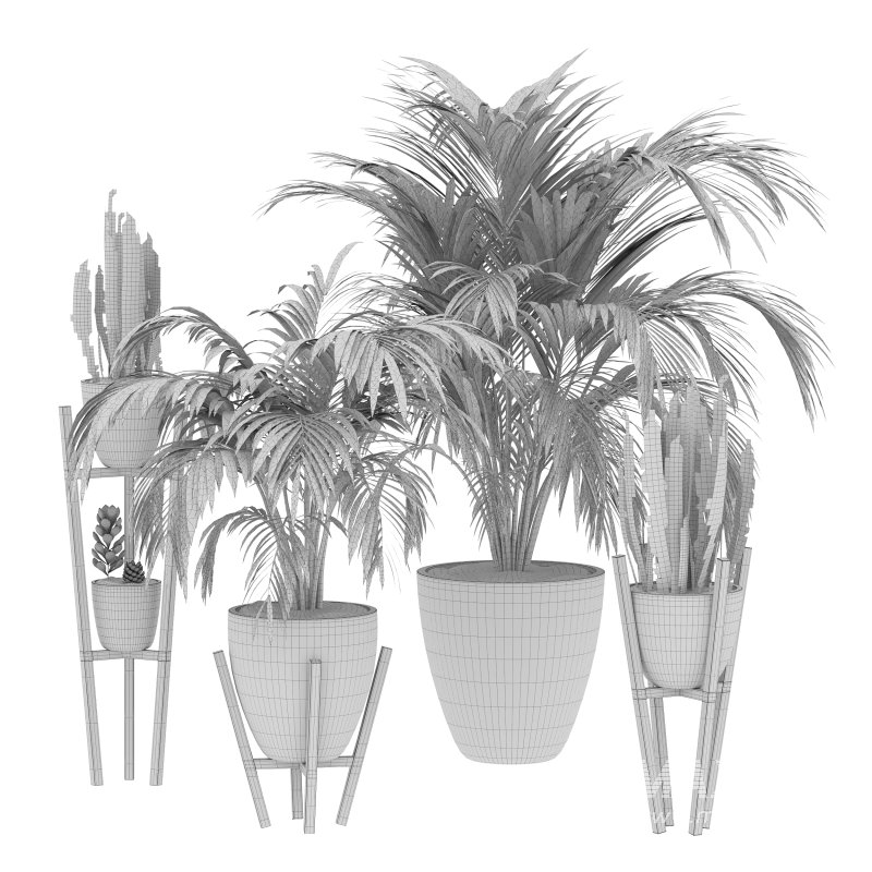 Black Metal Plant Set - Image 7