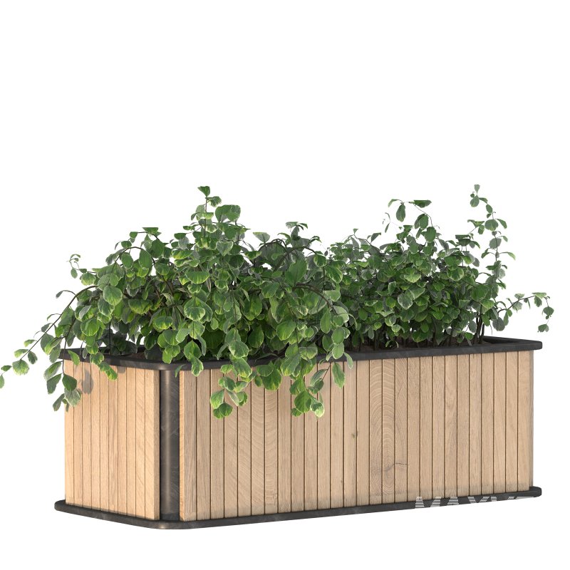 Plant Set 09 - Image 8