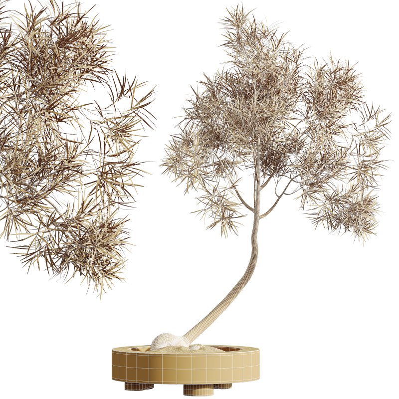 AV Indoor Plants Set 324 Japandi Decorative Minimalism Ficus Dracaena Marginata - Image 7