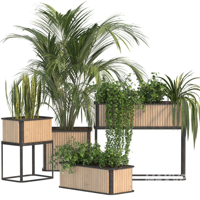 Plant Set 09 - Image 5