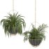 Metal Hanging Plants 05 - Thumbnail 2