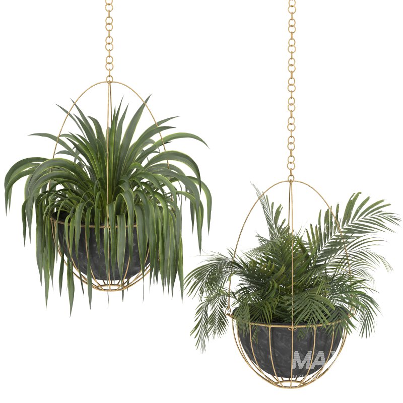 Metal Hanging Plants 05 - Image 2