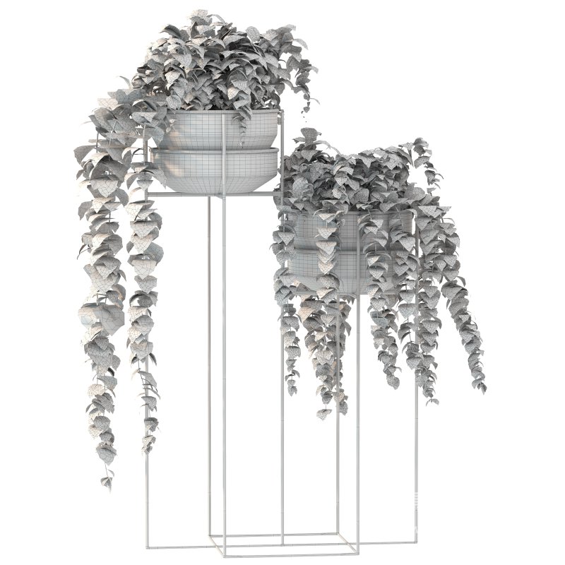 Metal Standing With Money Plant - Image 2