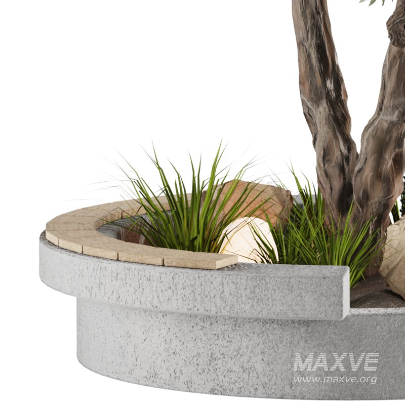 Bohemian Olive Tree Garden - Image 4