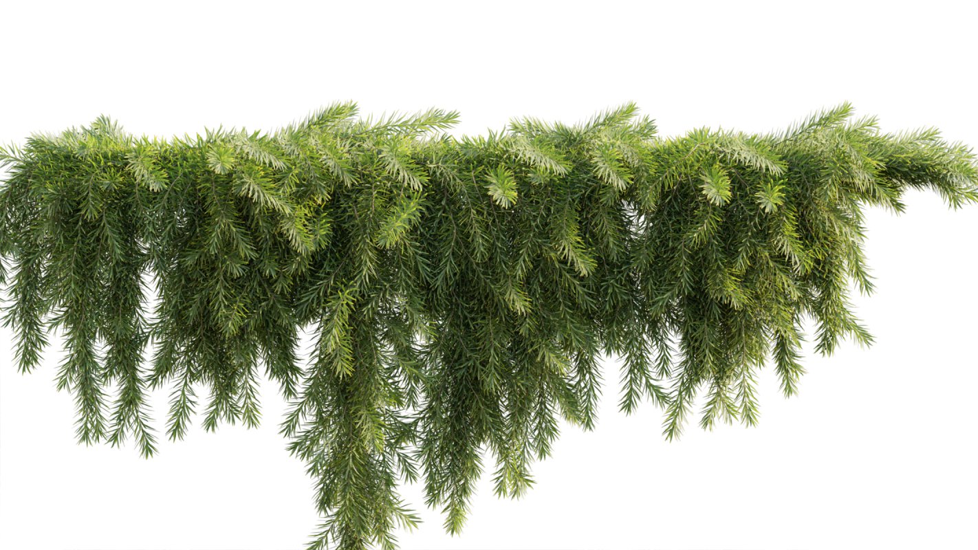 Collection 11 – Ground cover – Vines and Creepers - Image 11