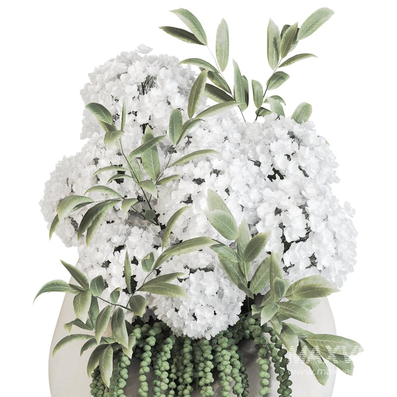 Flowers in Vase Collection 37 - Image 3