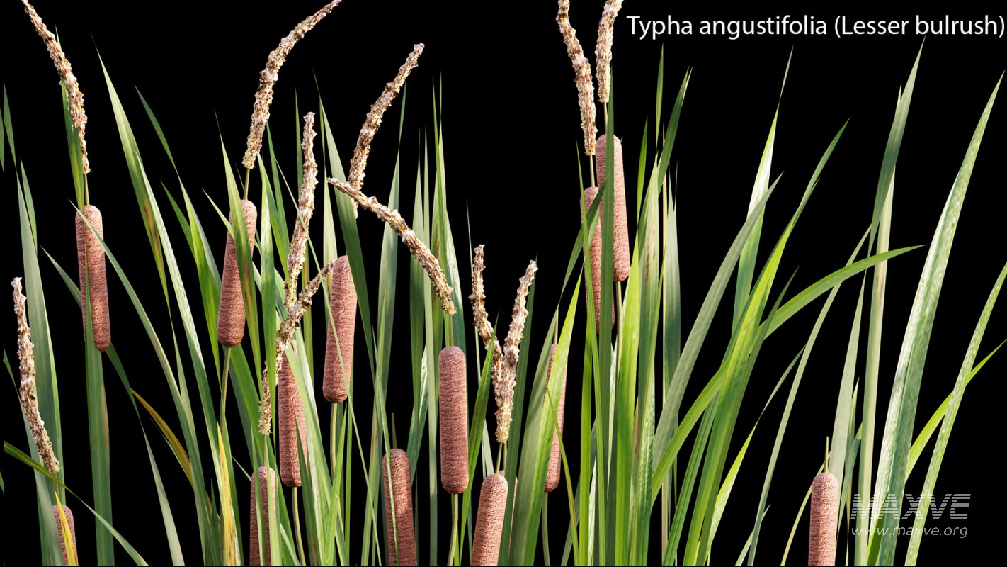 Collection 14 – English Garden - Image 41