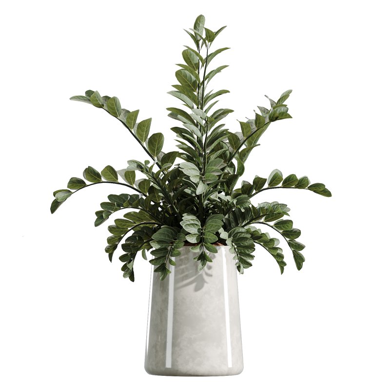AV Indoor Plants Set 361 Zamiifolia and Areca Palm and Bird Of Paradise and Briful Pachira - Image 2