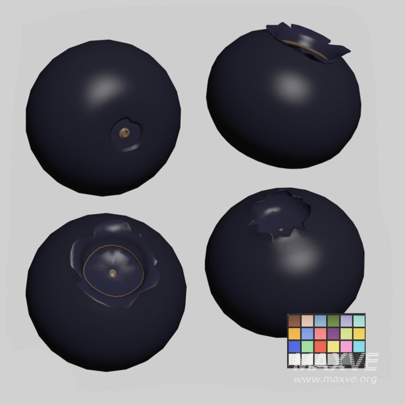 Blueberries - Image 3