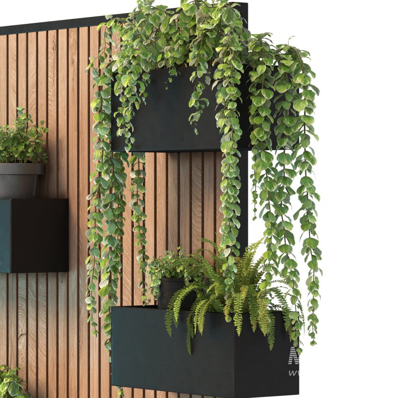 Floating Greenery - Image 2