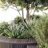 AV OutdoorPlant Landscape Alpine Hill Architectural Design Garden Greenery03 - Thumbnail 3