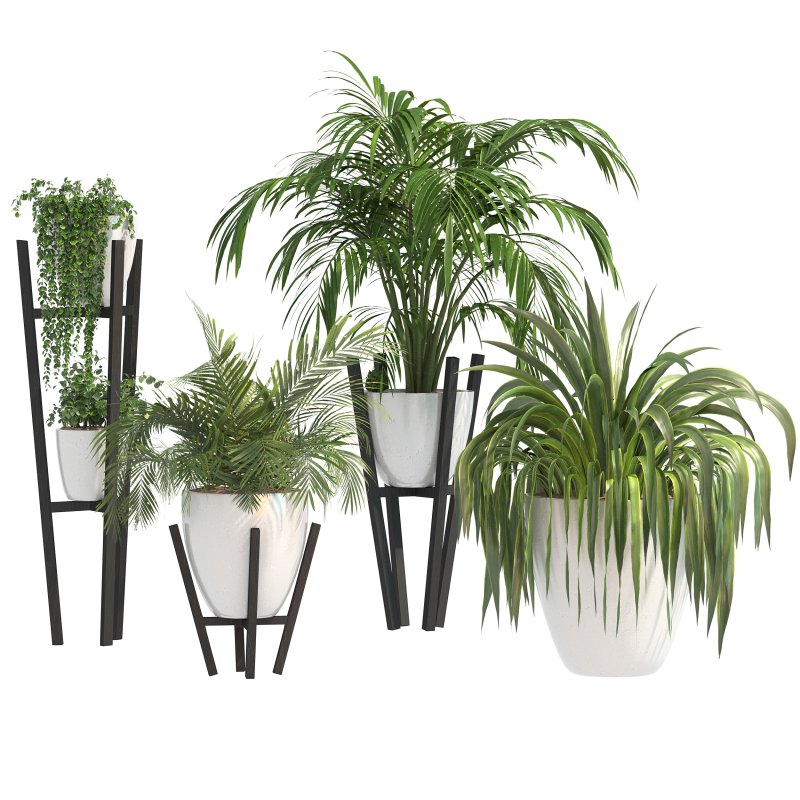 Stone Pot Plant Set - Image 5