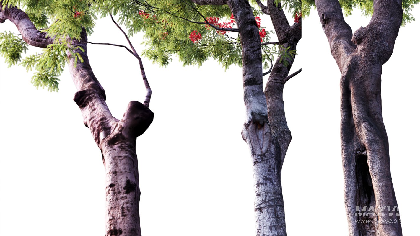 Collection 03 – Park - Image 5