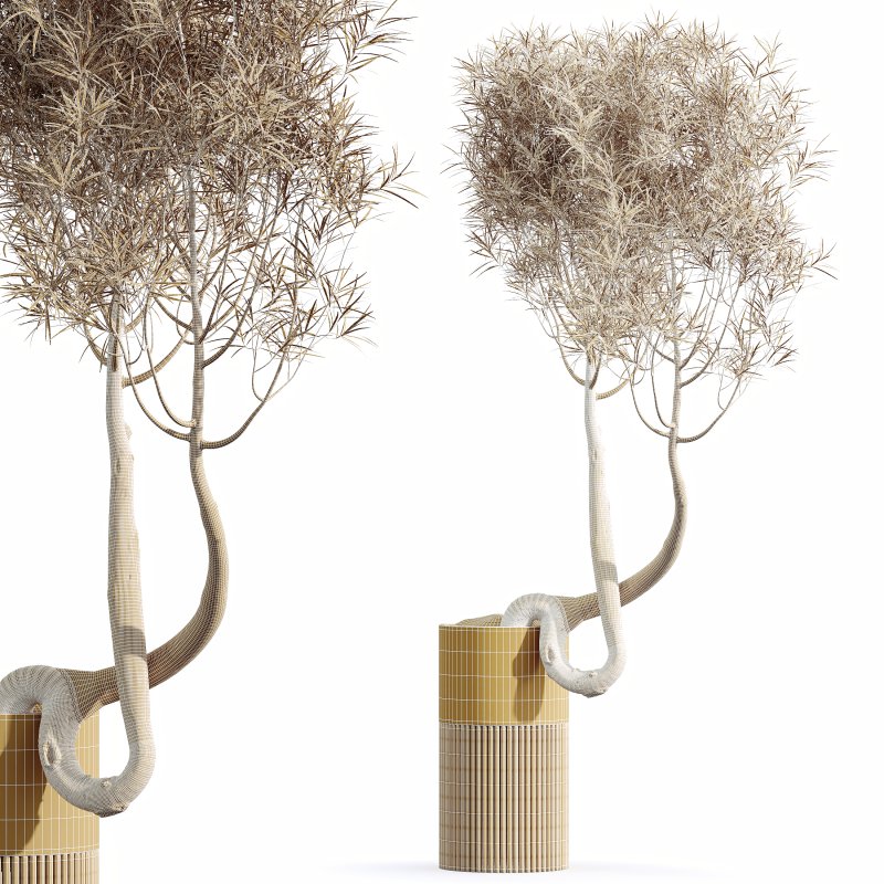 AV Indoor Plants Set 319 Japandi Decorative Minimalism Ficus Dracaena Marginata - Image 8