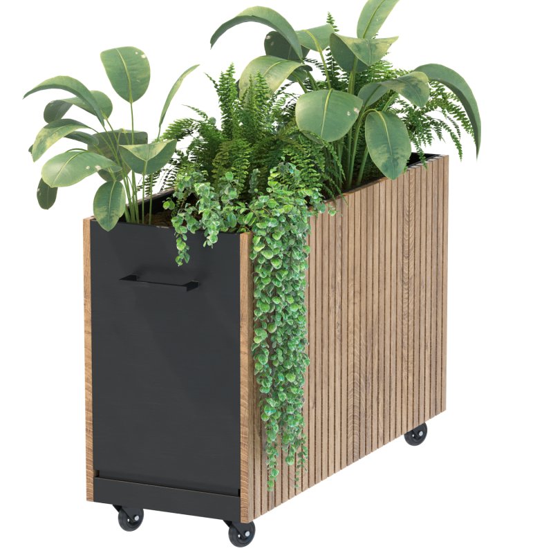 Plant Set 06 - Image 1