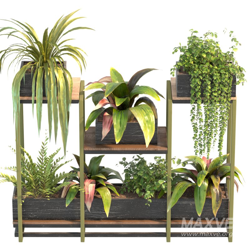 Plant Set 08 - Image 5