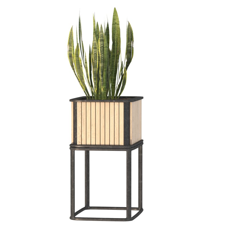 Plant Set 09 - Image 1