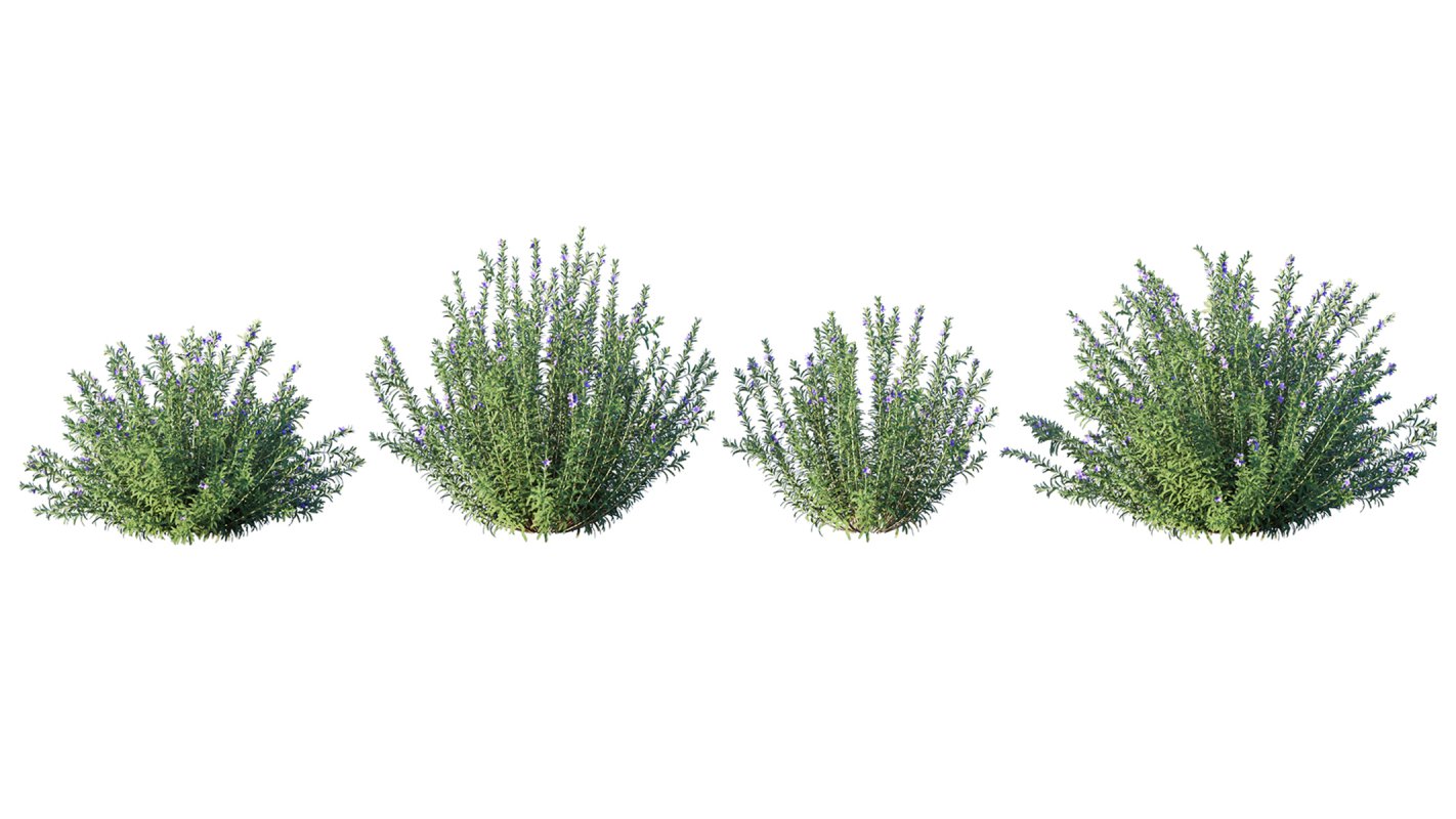 Collection 02 – Mediterrannean Garden - Image 7