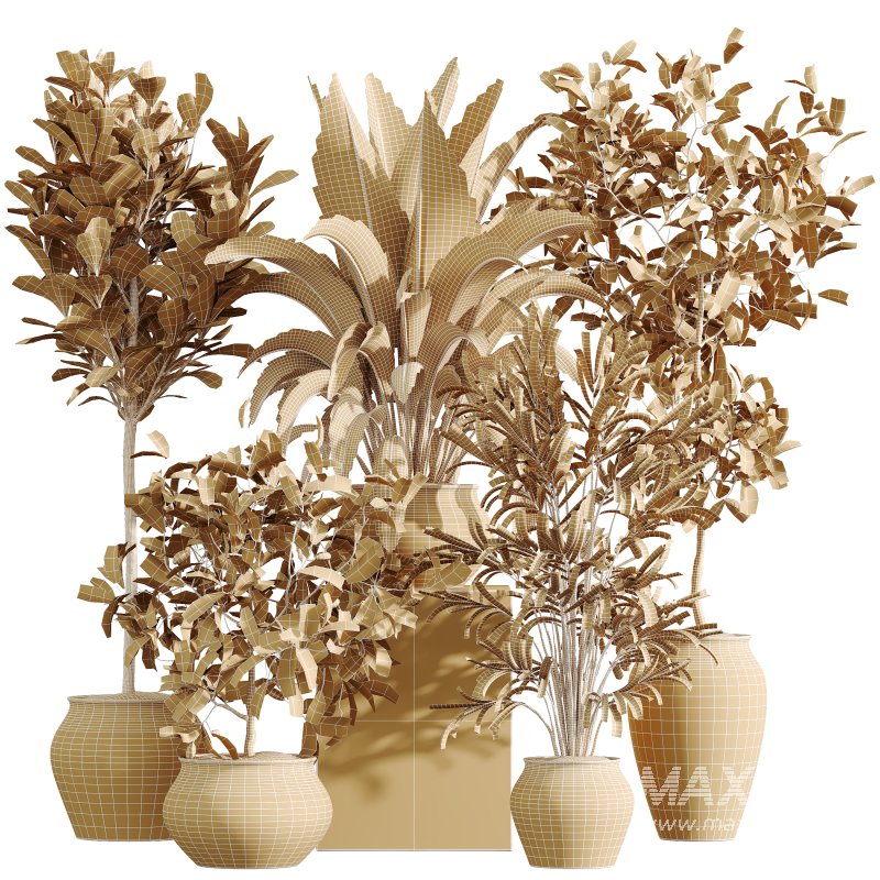 AV Indoor Plants Set 366 Briful Pachira and Areca Palm and Ficus microcarpa and Bird Of Paradise - Image 8