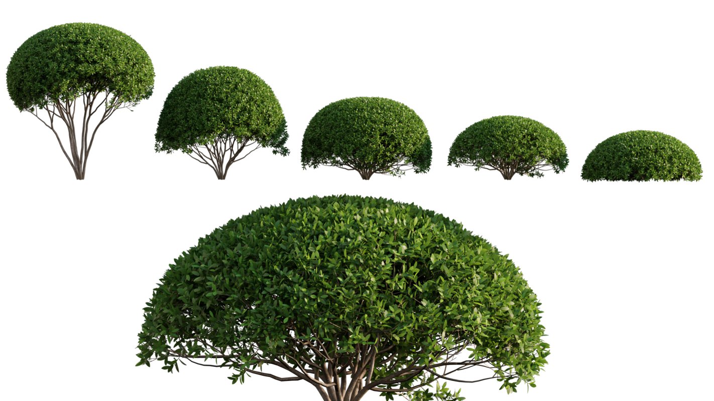 Collection 06 – Japanese Garden - Image 6