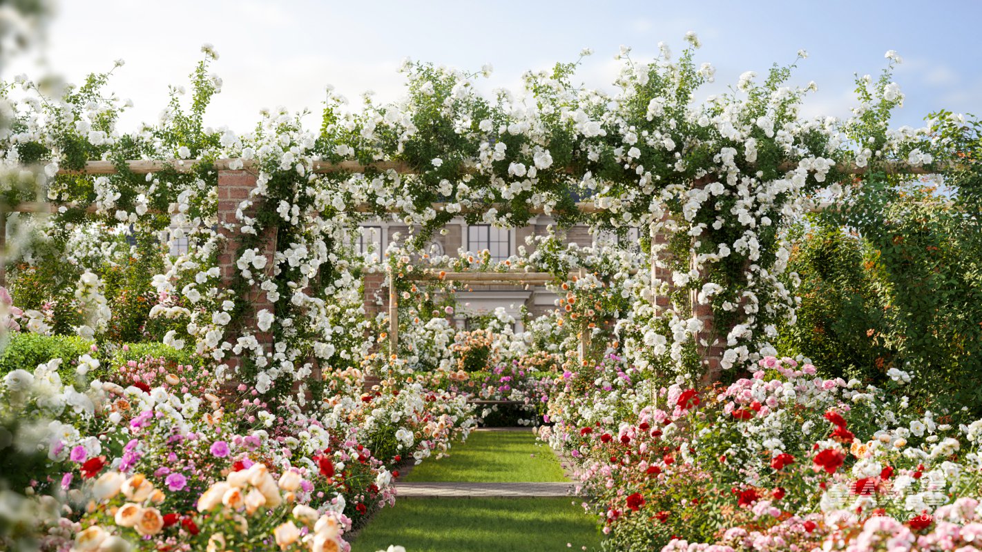 Collection 08 – Rose Garden - Image 1