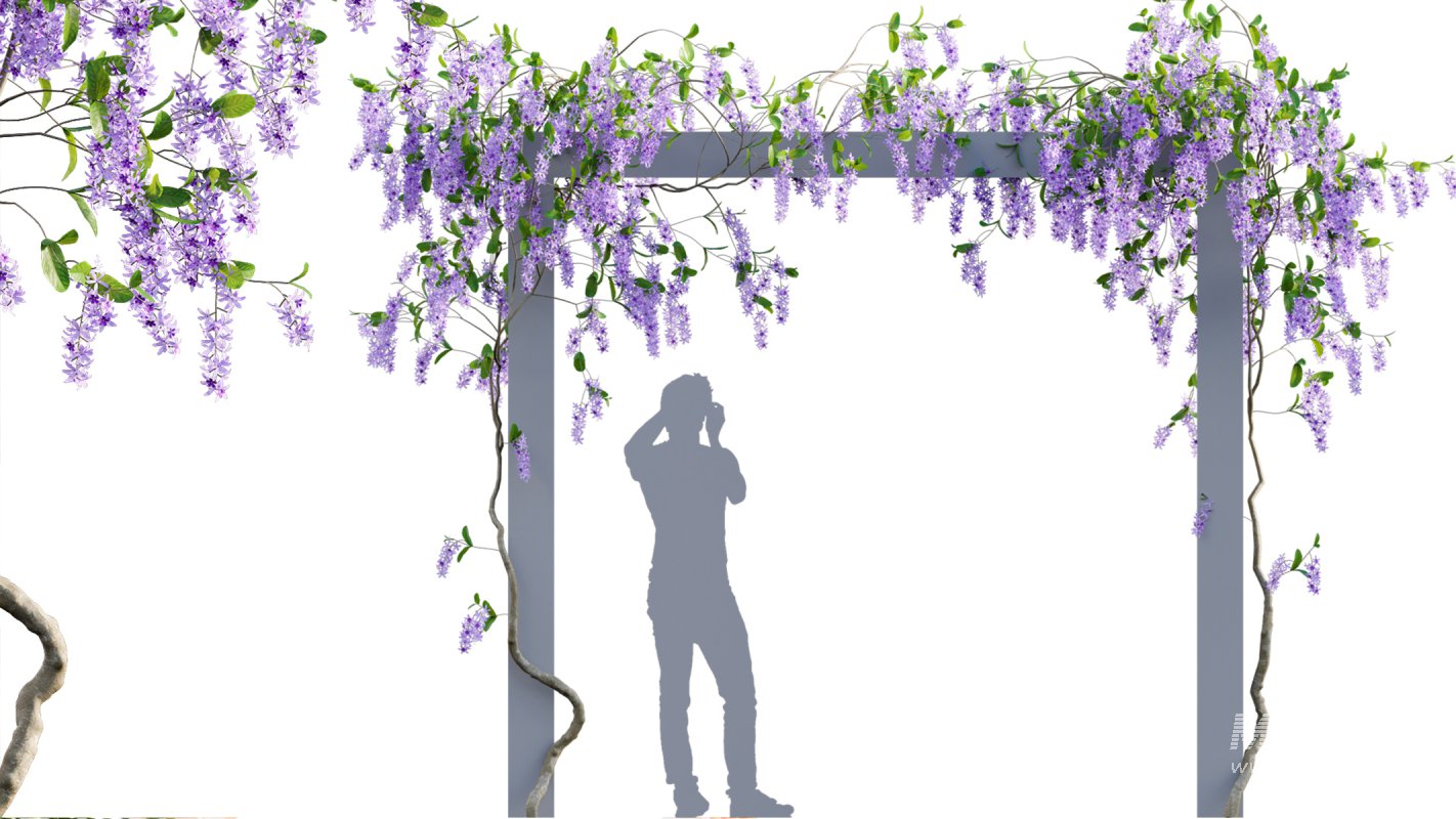 Collection 07 – Central America Garden - Image 31