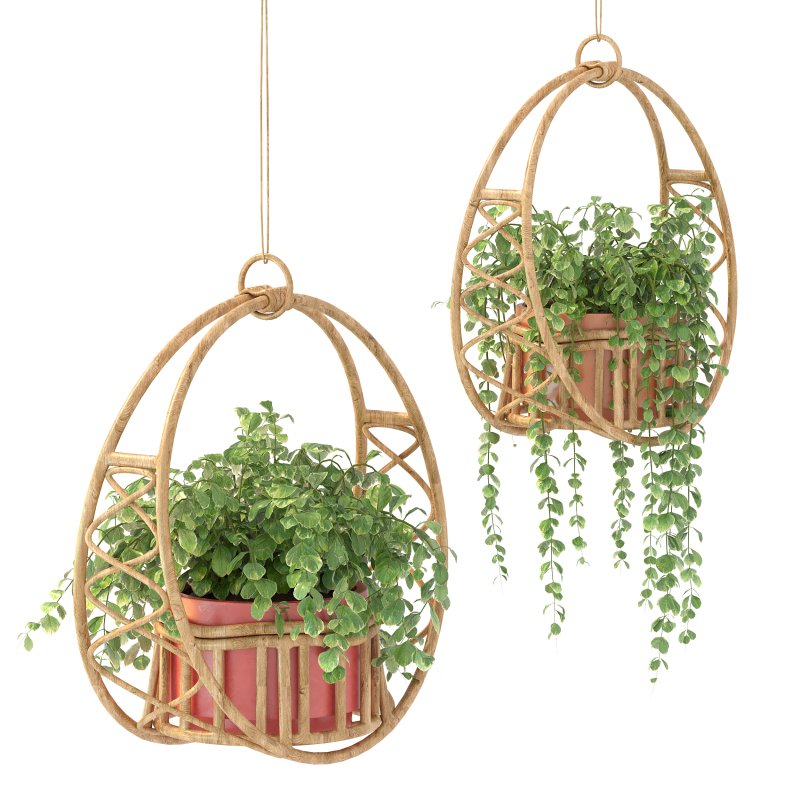 Boho Hanging Plants 05 - Image 5