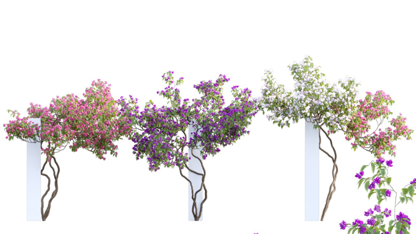 Collection 01 – Mediterrannean Garden (3D Model) - Image 2