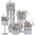 White Metal Plant Set - Thumbnail 5