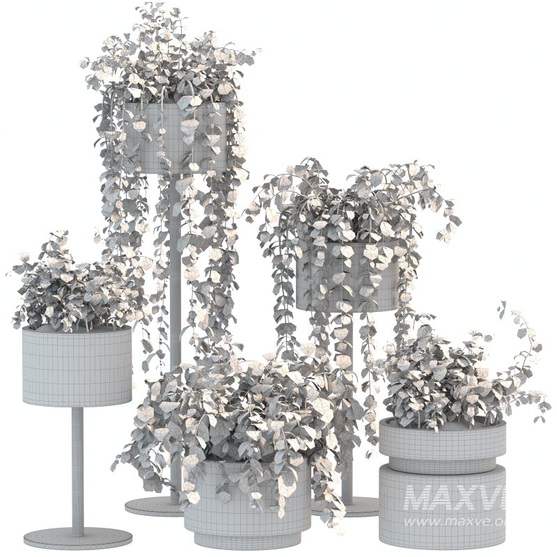 White Metal Plant Set - Image 5