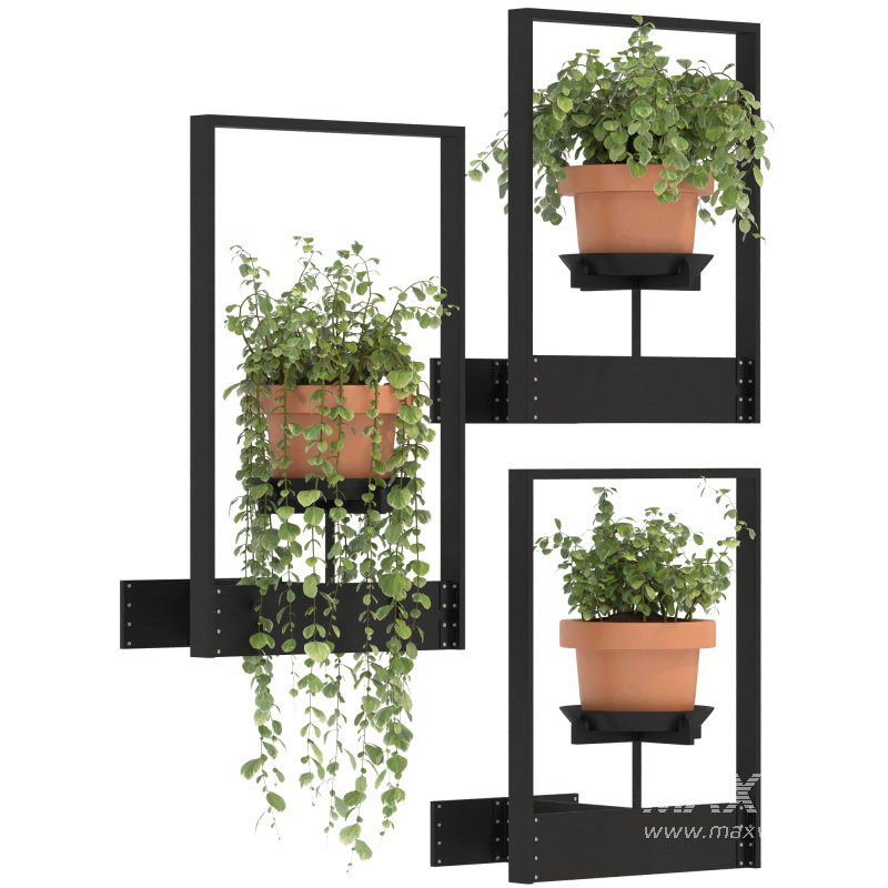 Boho Hanging Plants 04 - Image 4