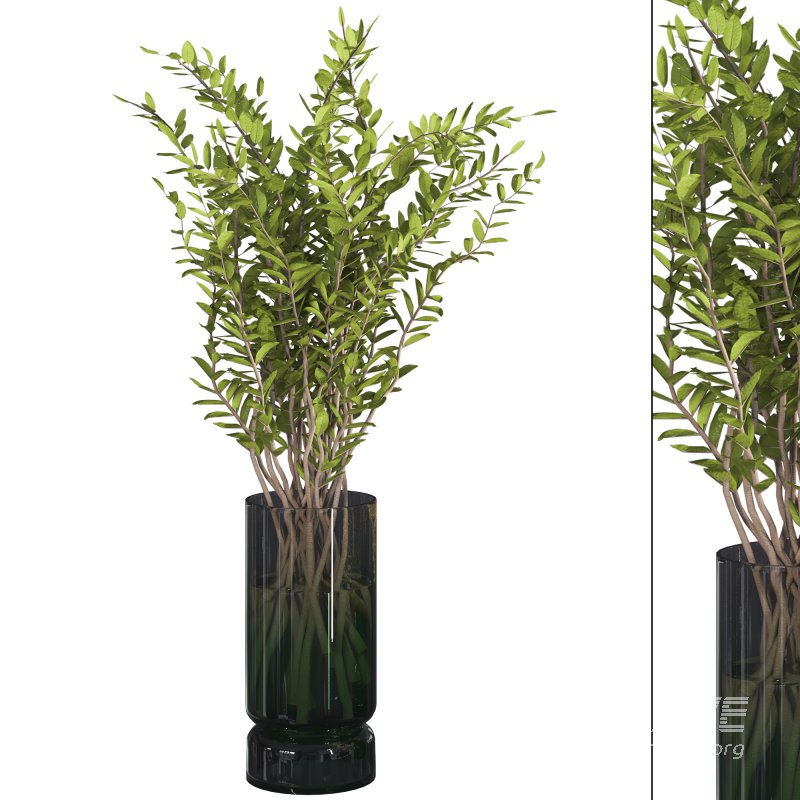 Branches with leaves in Glass Vase - Image 3