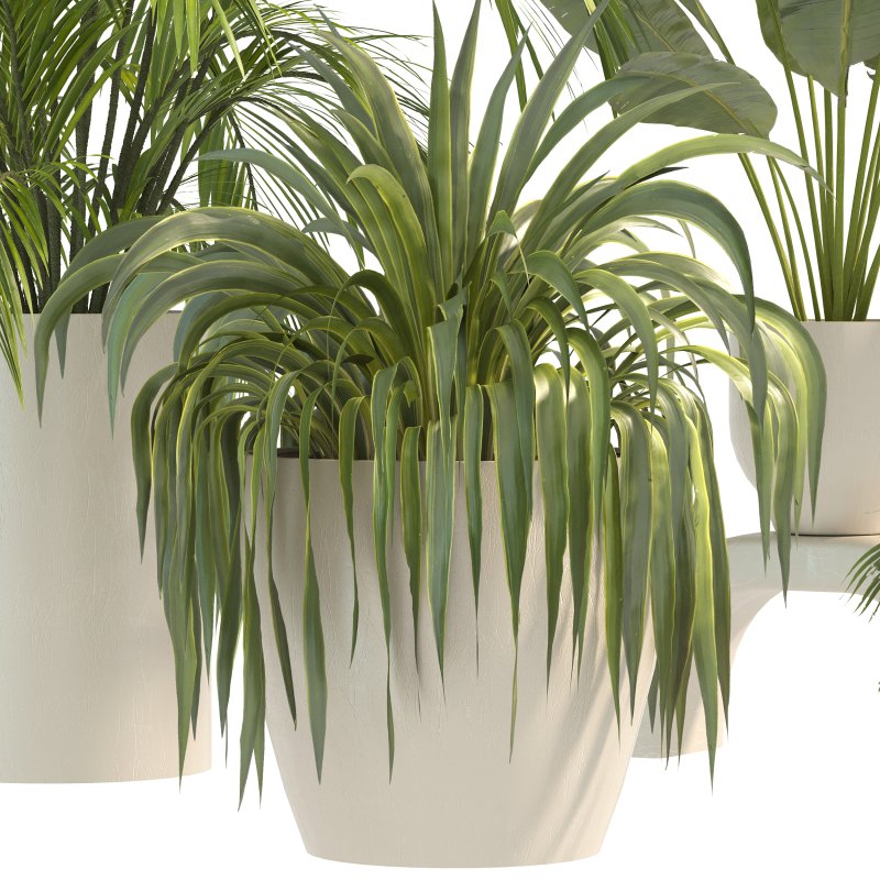 Plant Set 10 - Image 7