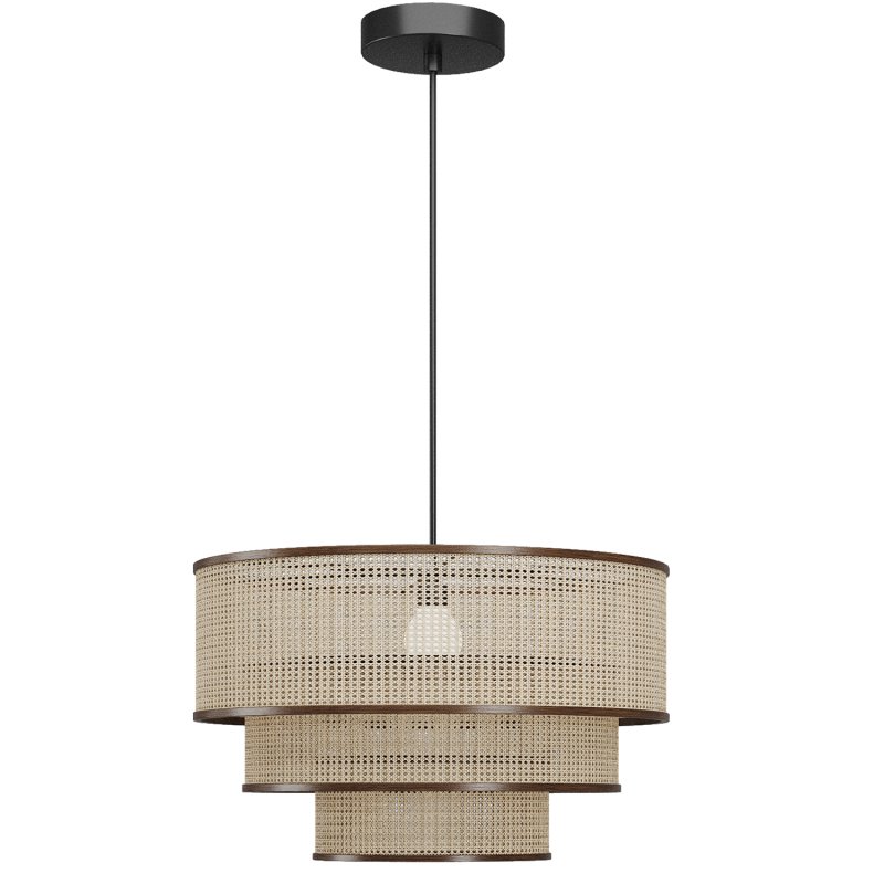 Fern Chandelier Natural - Image 3