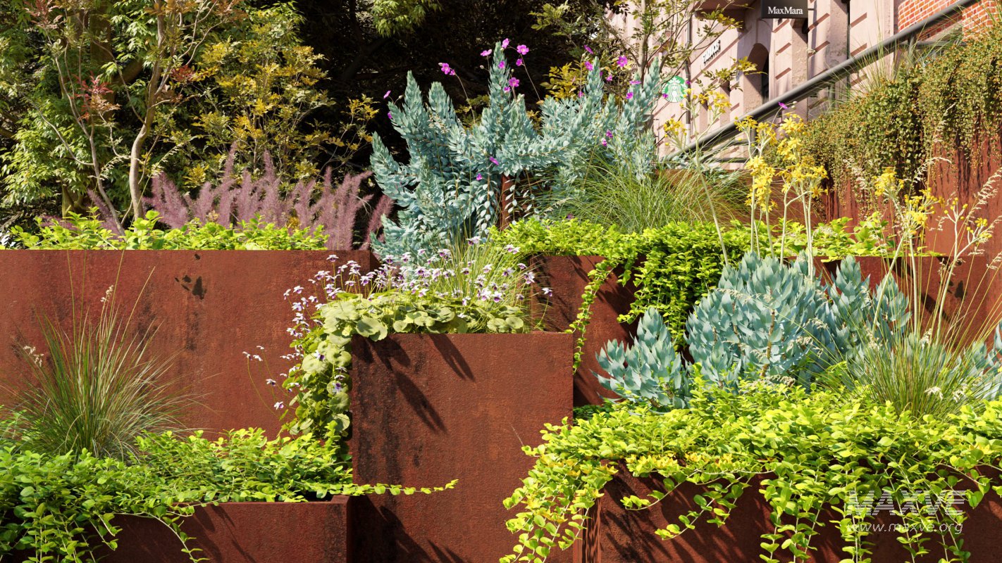 Collection 11 – Ground cover – Vines and Creepers - Image 2