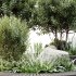 AV OutdoorPlant Landscape Alpine Hill Architectural Design Garden Greenery03 - Thumbnail 4