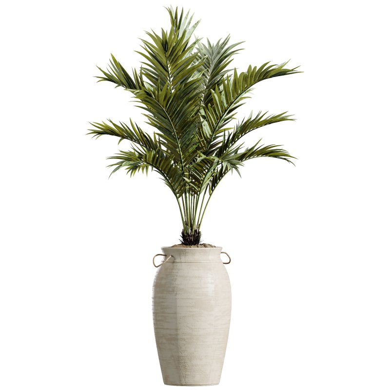 AV Indoor Plants Set 314 Spathiphyllum Wallisii and Cyara Areca Palm and Euphorbia Drupifera - Image 5