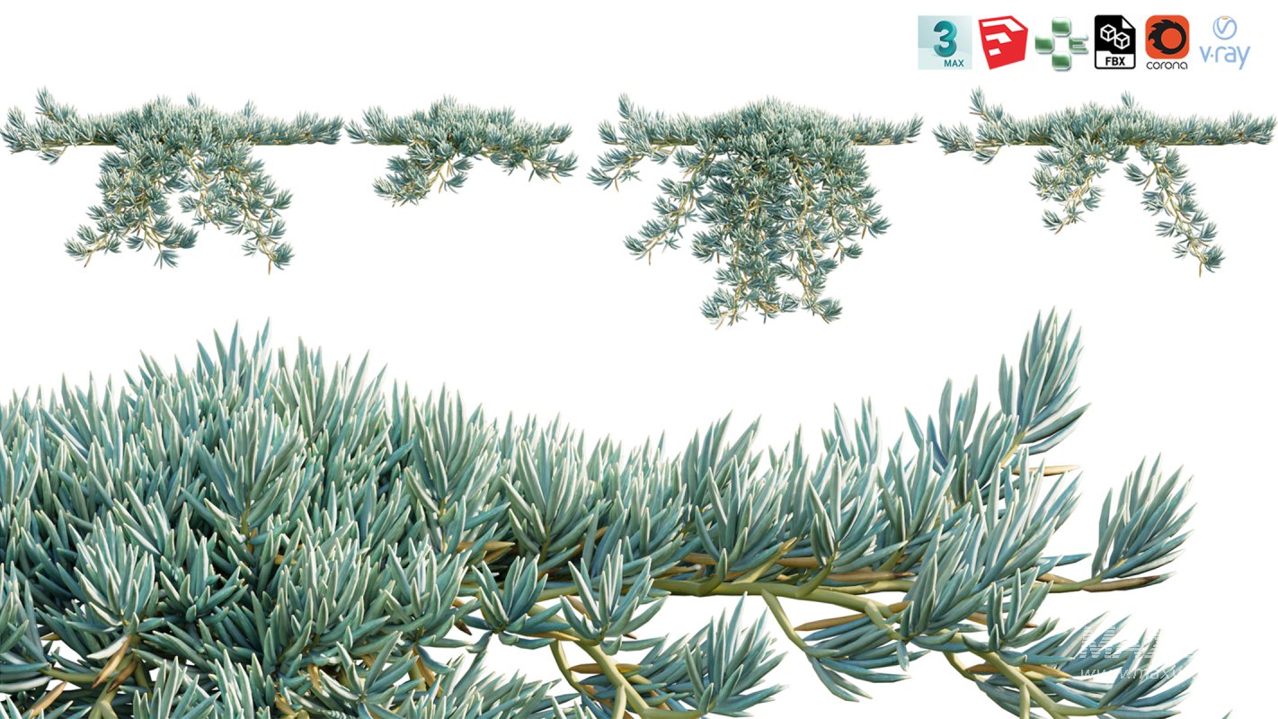 Collection 12 – Desert Garden - Image 32