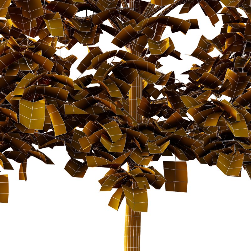 Sycamore Platanus Tree 07 - Image 6