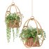 Boho Hanging Plants 05 - Thumbnail 7