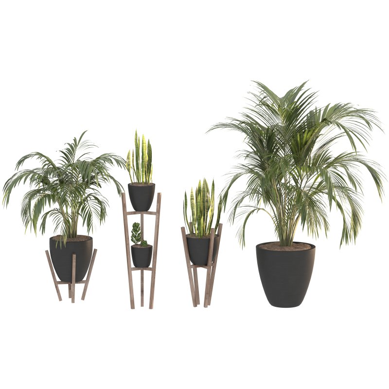 Black Metal Plant Set - Image 5